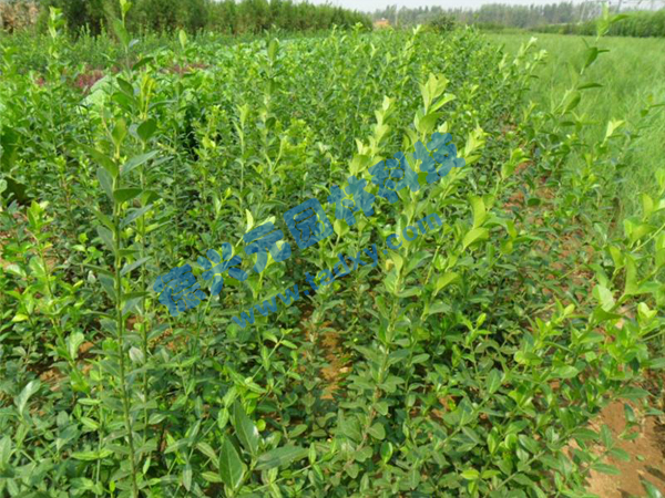 �c(di��n)���鿴Ԕ��(x��)��Ϣ��(bi��o)�}�����~������ ��x�Δ�(sh��)��2484