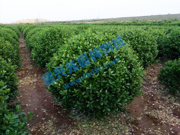 �c(di��n)���鿴Ԕ��(x��)��Ϣ��(bi��o)�}�����~�S���� ��x�Δ�(sh��)��2259