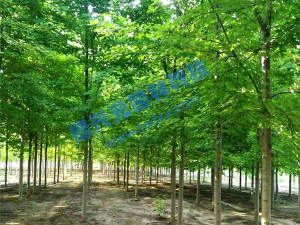 �c���鿴Ԕ����Ϣ���}�������t�� ��x�Δ���1832