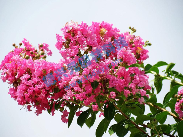 �c���鿴Ԕ����Ϣ���}����ޱ ��x�Δ���1741